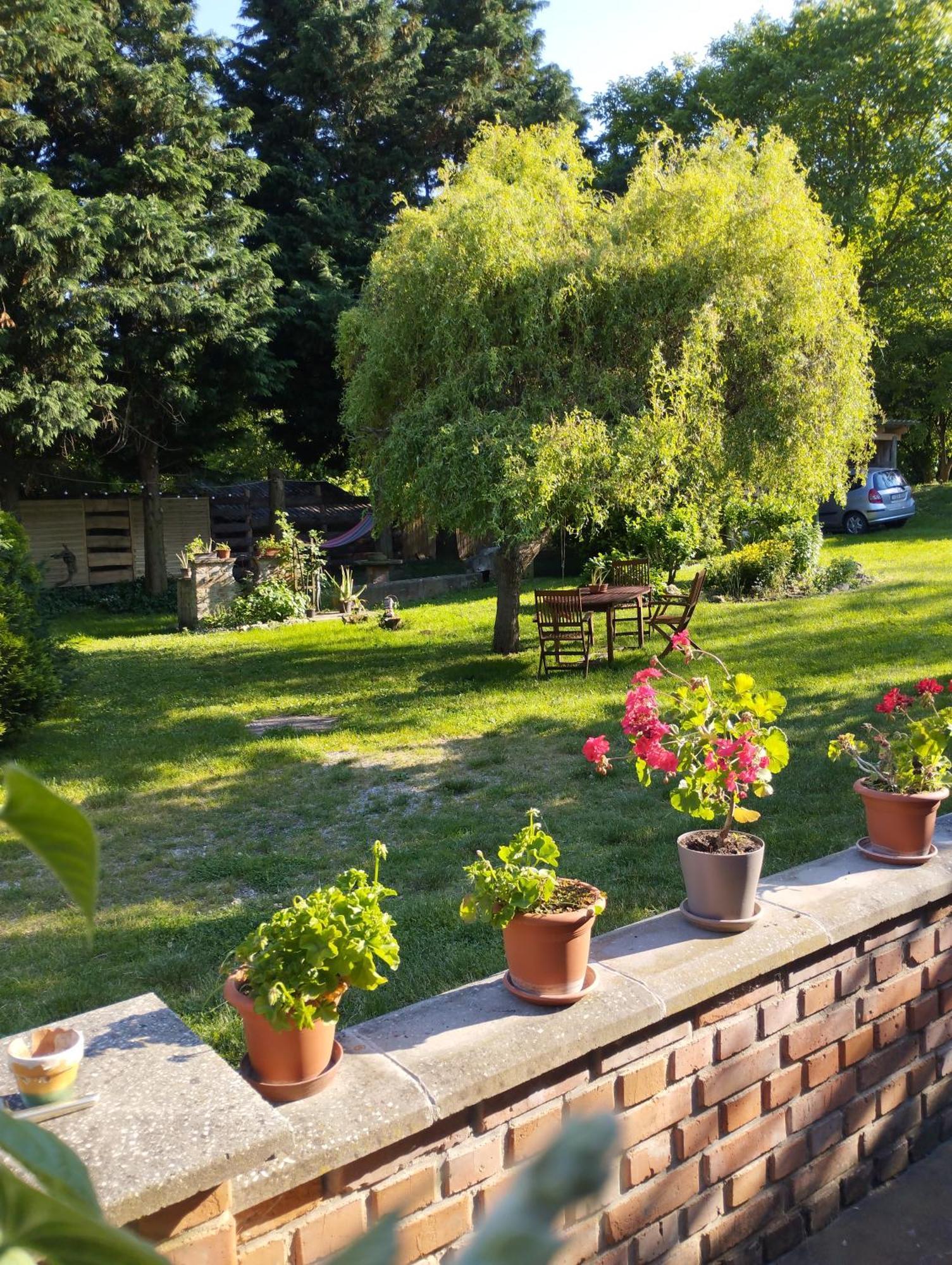 Helesfa Vendégház Hotel Kültér fotó