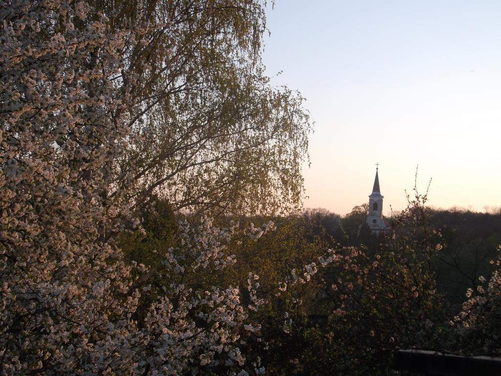 Helesfa Vendégház Hotel Kültér fotó