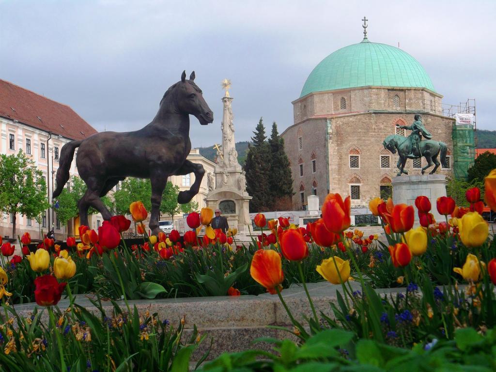 Helesfa Vendégház Hotel Kültér fotó